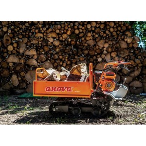 Carriola cingolata Anova Motore OR7320 4T 7 Hp