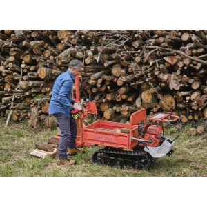 Raupentransporter Anova OR7320 Motor 4T 7 PS