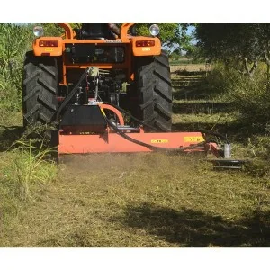 Broyeur à marteaux déportable avec disque latéral Centauro Huelva