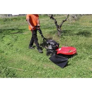 Gasoline brush cutter Centauro Mislata 173 cc