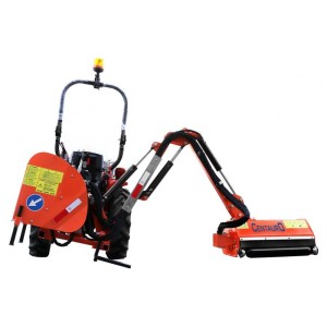 Hydraulic side arm brush cutter EuroCentauro Zamora