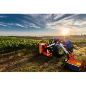 Seitenarm-Mulcher EuroCentauro Albacete