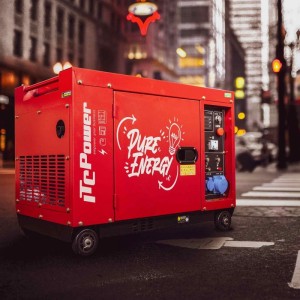 Générateur Électrique ITCPower 8000D 6300W-4