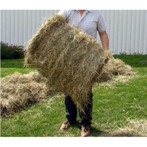 Rotopressa per trattore EuroCentauro Albalate