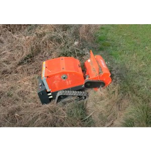 Decespugliatore telecomandato Zeppelin ES71930 Motore B&S 23 CV