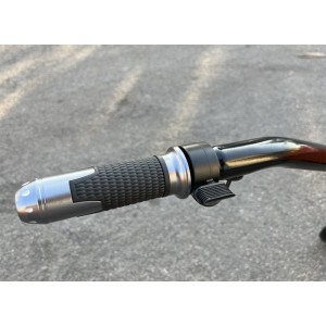 Carrello elettrico 24V Deleks XE150 500 W