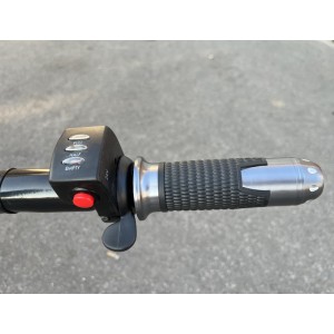 Carrello elettrico 24V Deleks XE150 500 W