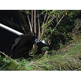 Decespugliatore multiuso Omega Montmelo 4x1 43 cc