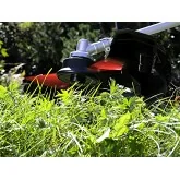 Multipurpose brushcutter Omega Montmelo 4x1 43 cc