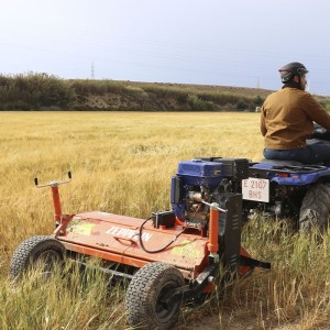 ATV Shredder Zeppelin 15 HP
