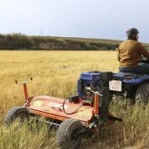 ATV Shredder Zeppelin 15 HP