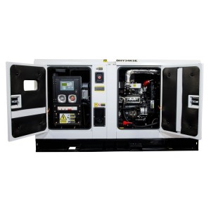 Grupo Electrógeno Monofásico Hyundai DHY35KSEm 35kW