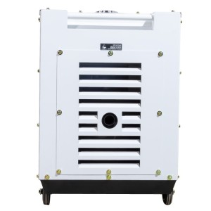 Generatore elettrico diesel inverter Hyundai DHY9000SEI-T 6kW