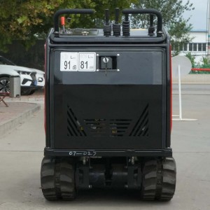 Minidumper Zeppelin Rhinoceros XN500 Motore B&S 10 CV