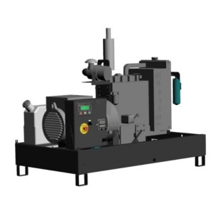 Grupo gerador trifásico Pramac GBW10P 9,02 kVA