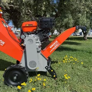 Déchiqueteuse de bois Zeppelin Wenovus WNS306E 15 HP AE