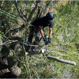 Battery powered pruning chain saw Ego Power CS1200E 30 cm