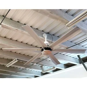 Ventilador de techo aspas curvas Garland HOOLIGAN 248 T 800W