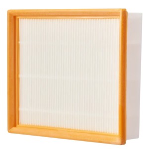 Filtro piatto AVF0900 per Hoover Ego Power