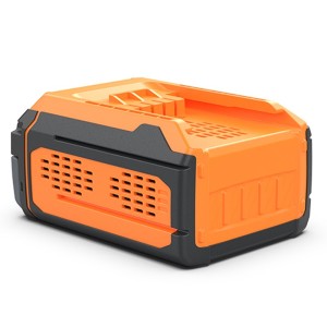 Batteria 8Ah 60V Anova E60BT8