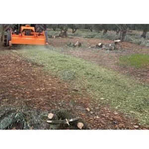 Pruning residue crusher Zeppelin Top Ram reversible