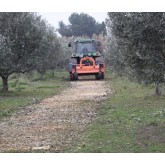 Trituratore reversibile per rifiuti di potatura Zeppelin Top Ram reversibile