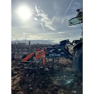 Extendable cultivator with inter-row Zeppelin ES1806 35 HP