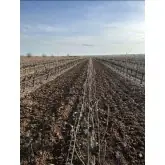 Cultivador extensible con intercepas Zeppelin para tractor