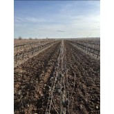 Cultivador extensível com intercepas Zeppelin ES1806 35 HP