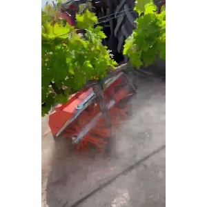 Bud remover with straps or rope Zeppelin 50-80cm