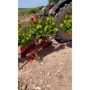 Telescopic shoot-removal support for vineyard Zeppelin 1 or 2 arms