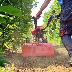 Multi-purpose tiller Deleks Zeus engine Loncin 420 cc