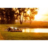 Decespugliatore e tosaerba elettrico robotizzato Raymo TORPEDO 4WD ZTR