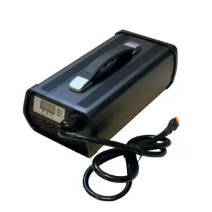 Cargador Estandar 15A Raymo