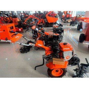 Motorpinne Zeppelin Wenovus 500 196 cc