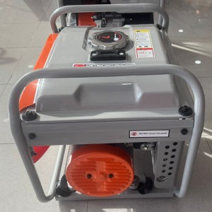 Electric Generator Zeppelin Wenovus GINO 1100 W