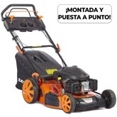 Gasoline lawnmower Anova CC256TV 173 cc