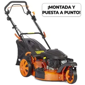 Gasoline lawnmower Anova CC351T3 173 cc