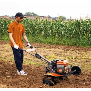 Motor hoe Zeppelin Wenovus 900 196cc