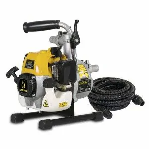 Bomba motorizada Garland Geiser 281 G-V17 700 W