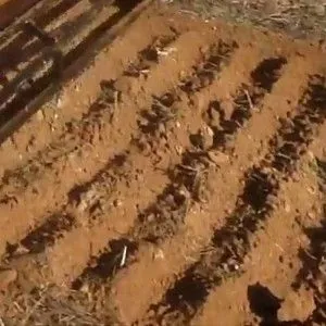 Gradas de discos rápidas para tractor Zeppelin 140 - 300 cm