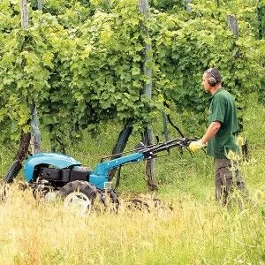 Cultivator Bertolini 417s Gasoline Kohler 429 cc Engine