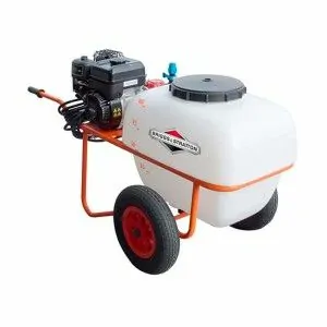 Сульфататор Anova P100-2BS 4HP