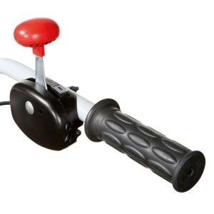 Motobineuse Bertolini 155 moteur Emak