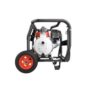Gasoline Water Pump Genergy Nervión 35000 L/H 50 m