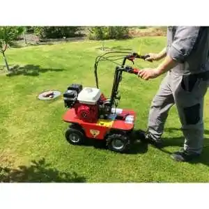 Gasoline lawnmower Benassi L390 5.5 HP