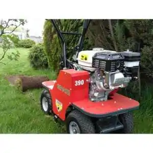 Gasoline lawnmower Benassi L390 5.5 HP