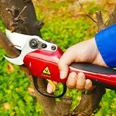 Battery pruning shears