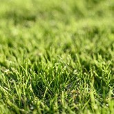 Falciatura e cura delle aree verdi Intermaquinas