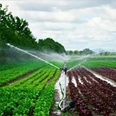 Irrigação Intermaquinas